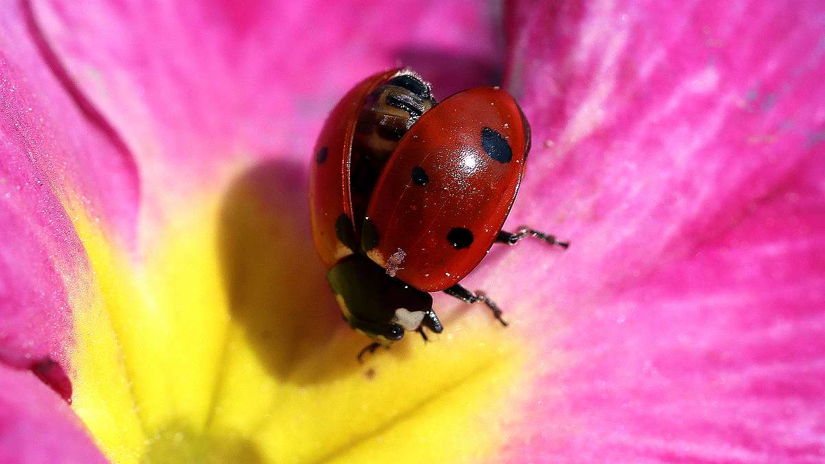 IMG_9517a