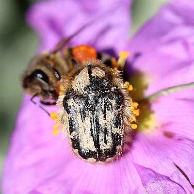 IMG_9604a