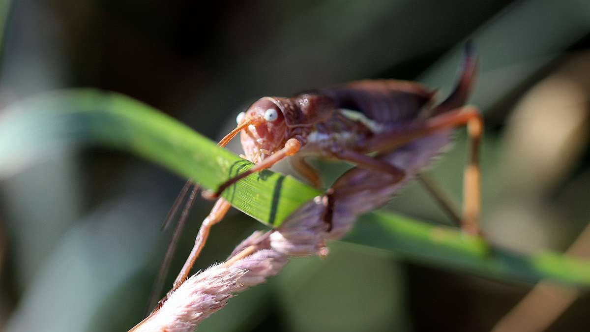IMG_0113a