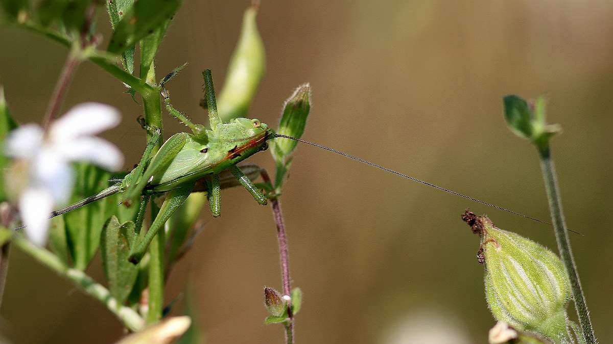 IMG_9831a