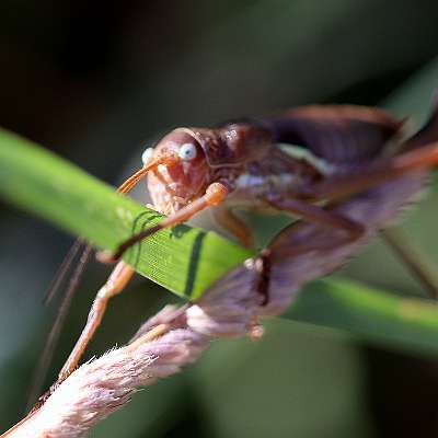 IMG_0113a