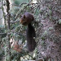 IMG_0587a