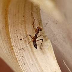 IMG_9905a