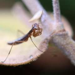 IMG_9941a
