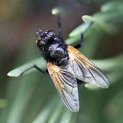 IMG_0145a