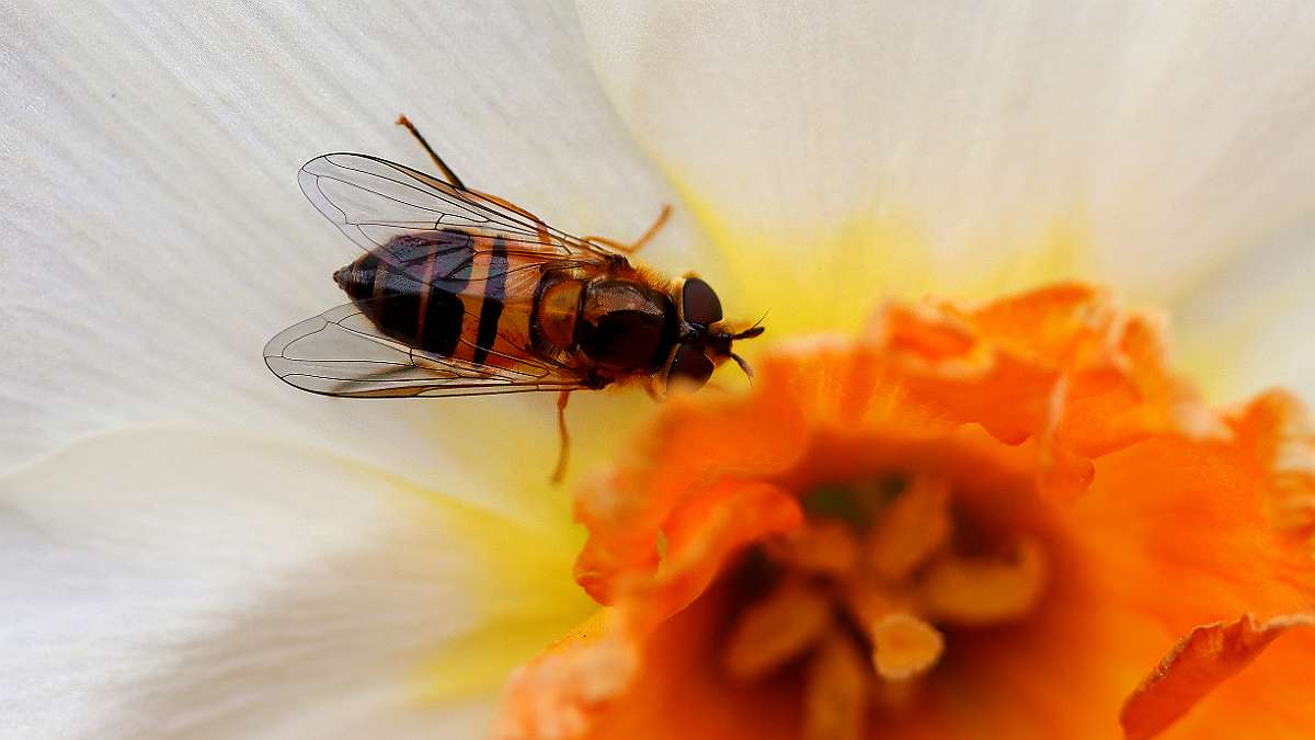 IMG_9463a