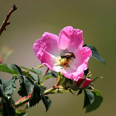 IMG_0750a