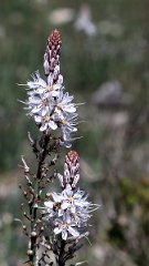 IMG_9644a