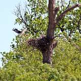 Image00014a