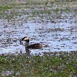 IMG_9745a