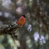 IMG_0824a