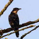 IMG_1003a