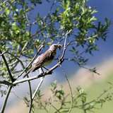IMG_2373a