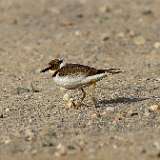 IMG_1033a