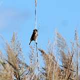 IMG_4514a