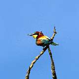IMG_0483a
