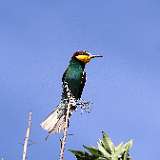 IMG_9788a