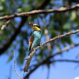 IMG_9809a