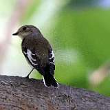 IMG_1111a