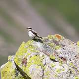 IMG_2250a