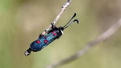 IMG_9692a