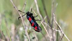 IMG_9758a