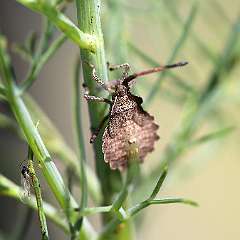 IMG_0742a